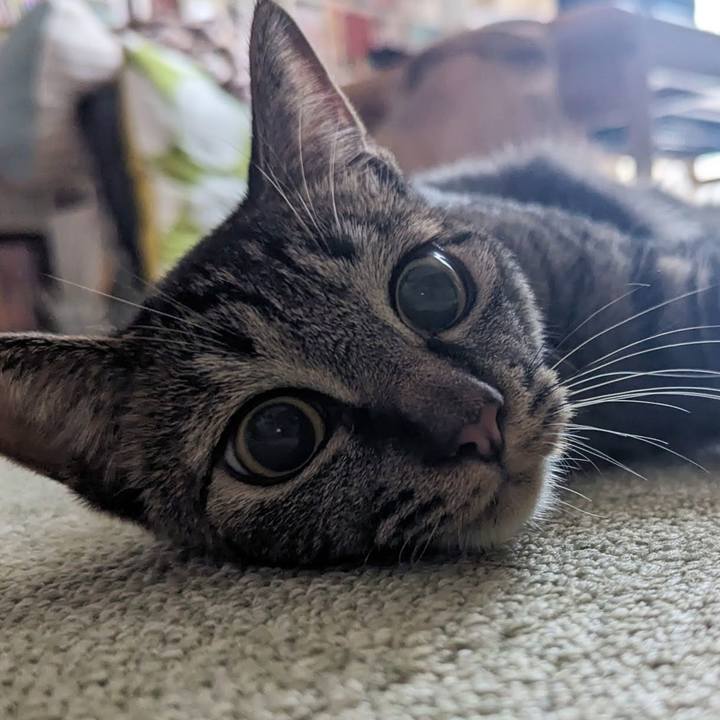 6ccb25c4 bff5 4f88 adb1 10b16345e7dc 1717042926741