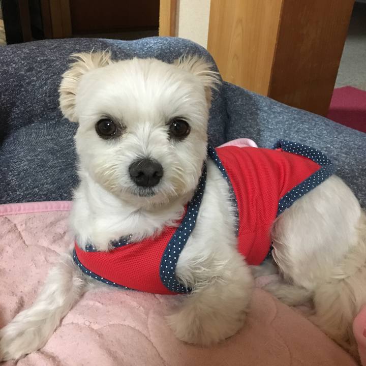 6ccb68f2 93e2 45c0 9e6d c0d404e04bea 1539513010229