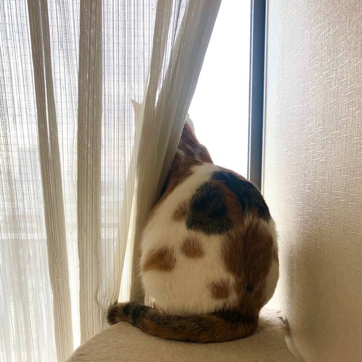 6ccb8053 2d5a 4a4a 81e6 724bc8b6f846 1585265561266