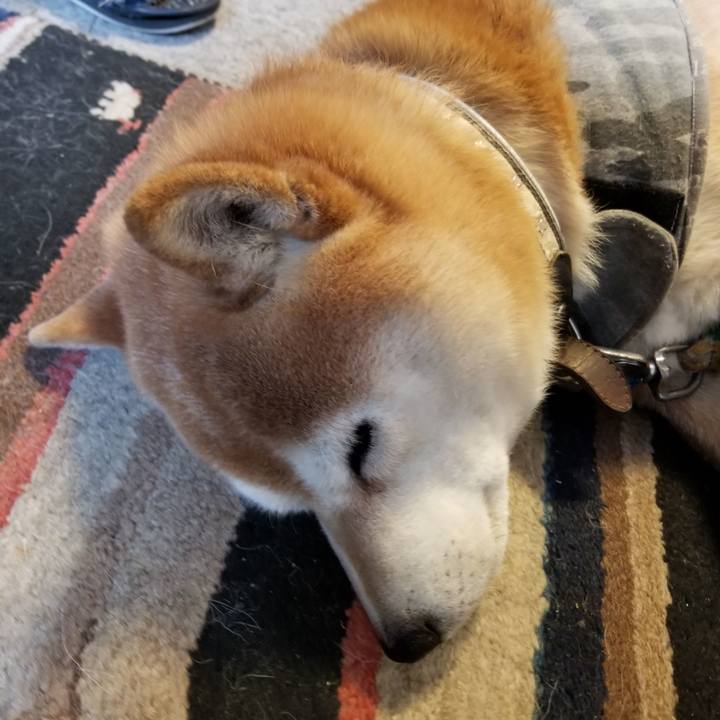 6ccbddd3 5a68 4569 a693 4048204a6ec6 1615157987468