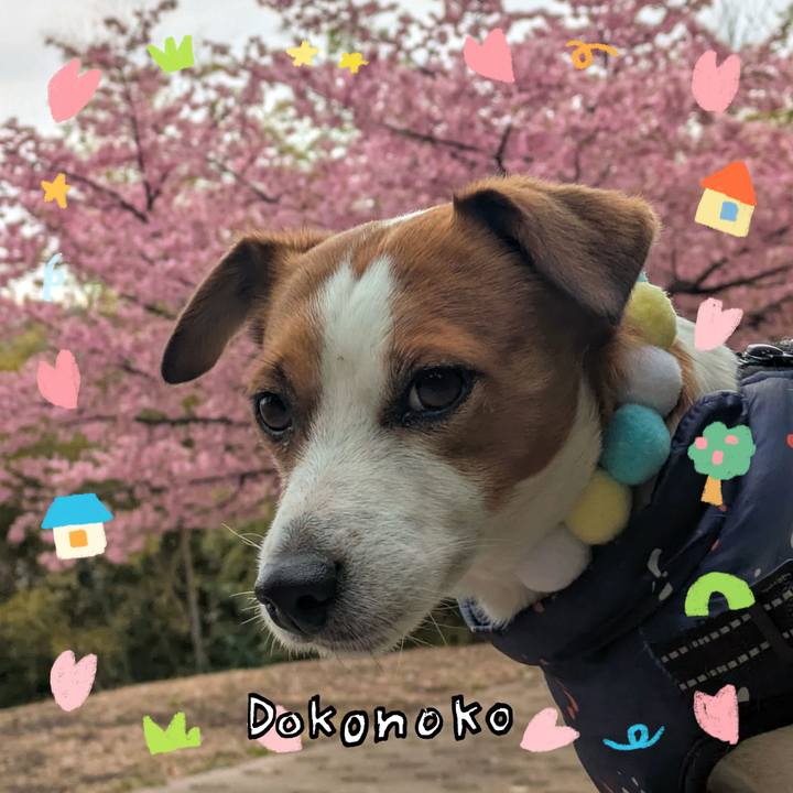 6ccbe2f3 3591 48ed 8bf2 2698cebb8d24 1741062563593