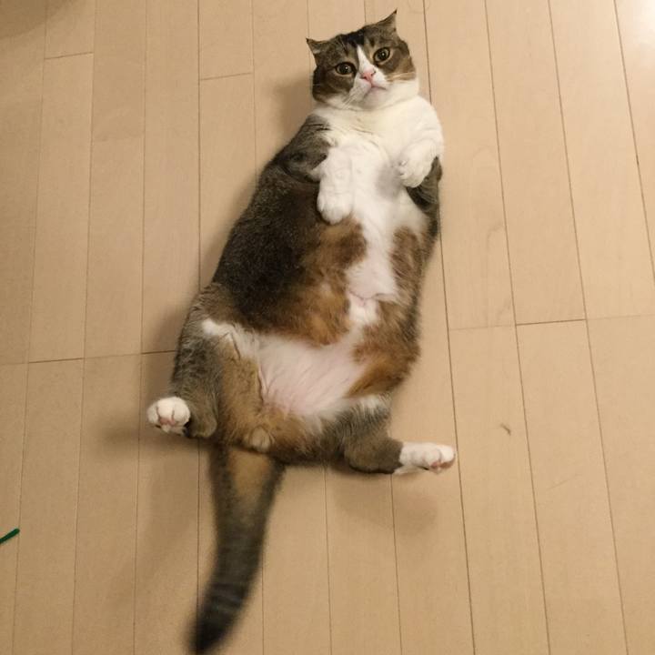 6ccc3eea 70ce 47fe 8903 18936dcb097c 1572104825525