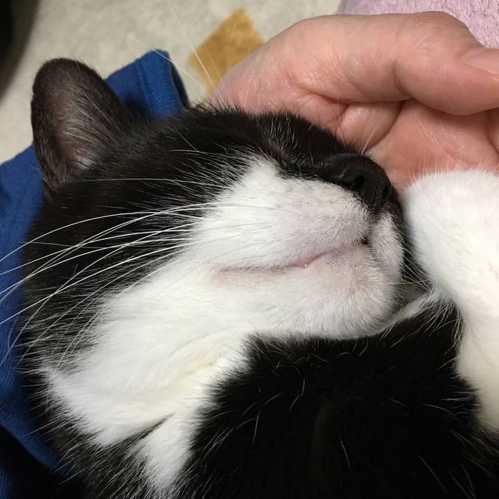 6ccc4a98 e0f8 47e6 bdd9 110ea151c5e6 1513339595013