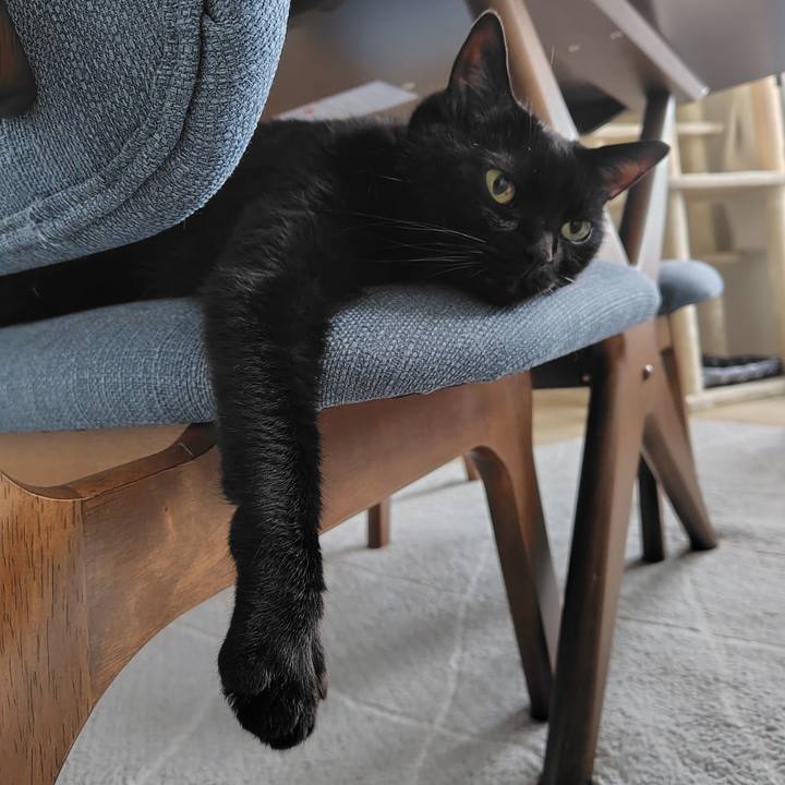 6ccc523b 4bf1 445a ae8d e67610ec3231 1719699748617