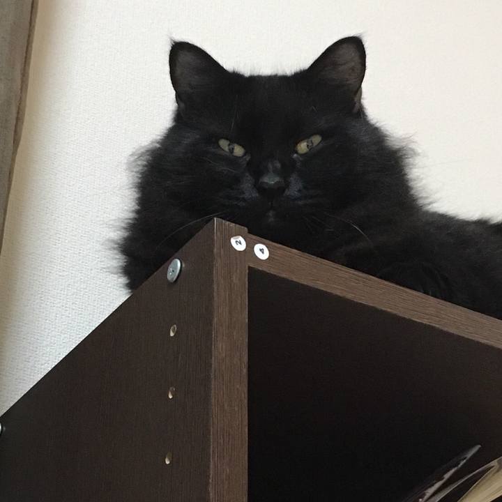 6ccc5f5c 3f7e 4163 b079 23f82afcd0e6 1572356347022