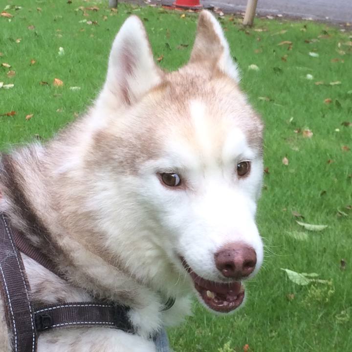 6ccc89ec 6a20 457d 92bd 5c54e1d9c343 1559741247407