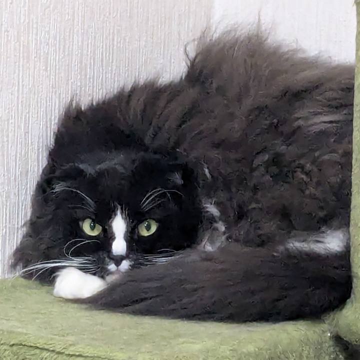 6cccbd07 50bd 417d b6aa 4e836c6a6285 1767060159708