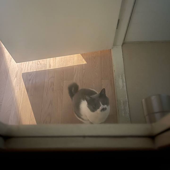 6cccc1a9 7dc3 45e2 a0d4 dd93ee19dfe6 1705987511268