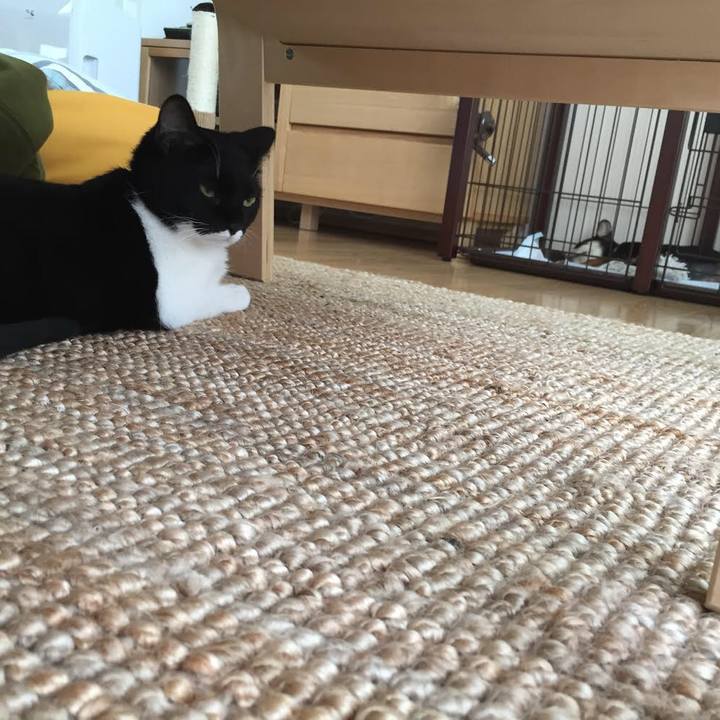 6cccf805 d900 40a9 90af bd8e47fa8d27 1522300297642