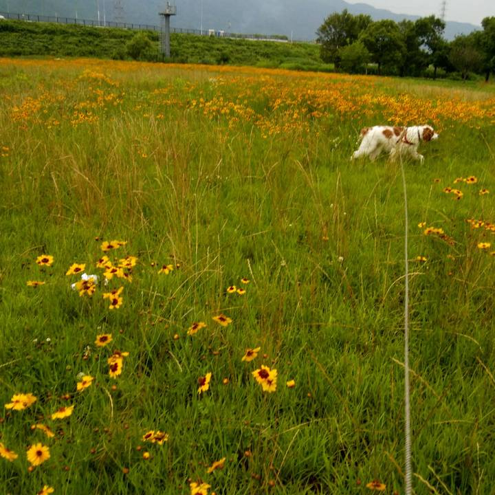 6ccd41ef 55da 4685 bcb4 6bad1064fea3 1562069549234