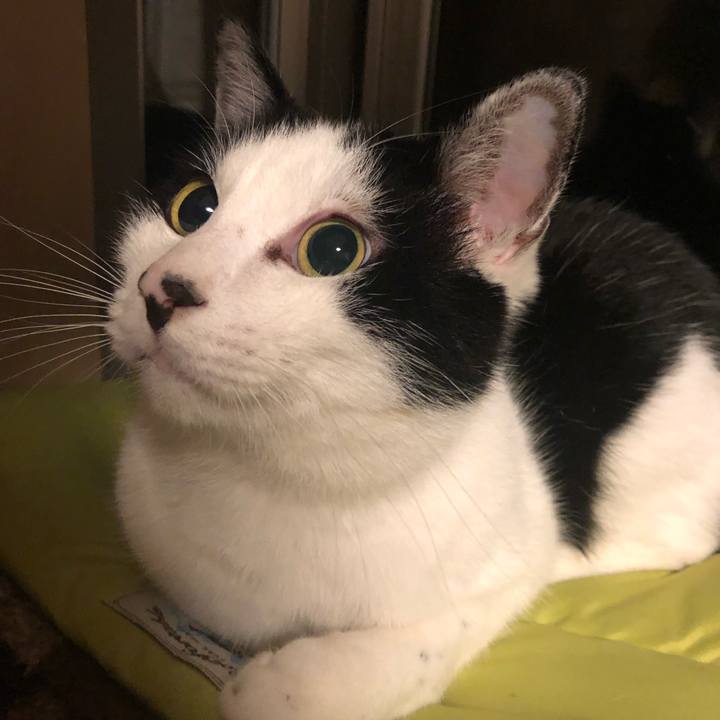 6ccd4ffe b601 432b 9d24 24f0dc7a05ac 1574678407839