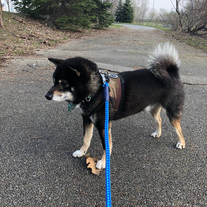 6ccd5404 8732 4288 8933 b149ad169ae2 1524364175795