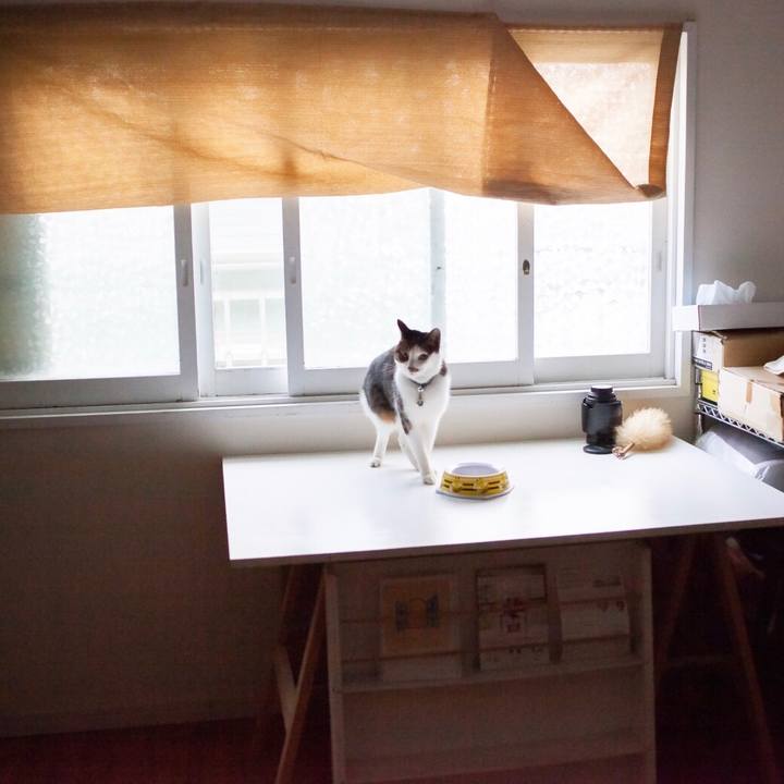 6ccd7527 1a68 475b 9e9a 72dd6619ed53 1606462442129