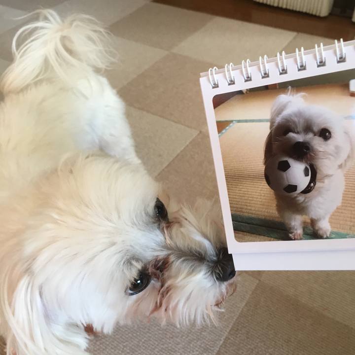 6ccd7d9f 2054 44a5 be24 f6c873eba1d8 1512864339357