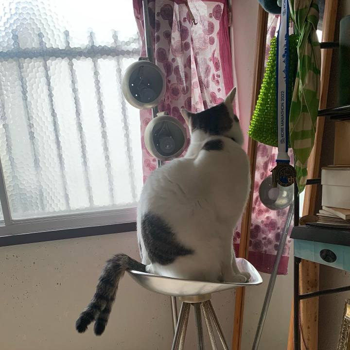 6ccd860a 4cdf 4489 9c59 e7d6fcce14e9 1672415417794