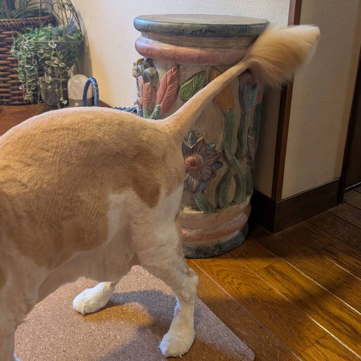 6ccd8ab0 8448 42f7 991b 1088259b7e54 1751154176327