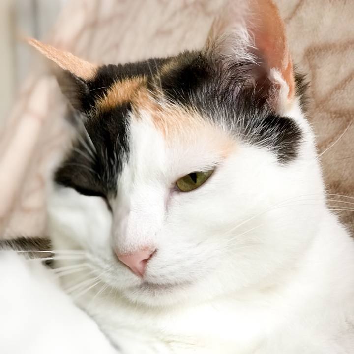 6ccde212 91f6 48f0 9b04 133df9f65e7d 1527344241346