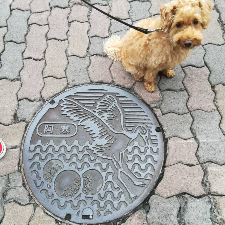 6ccde994 25f9 4a43 a84c 2f70eaf06a88 1532296628555