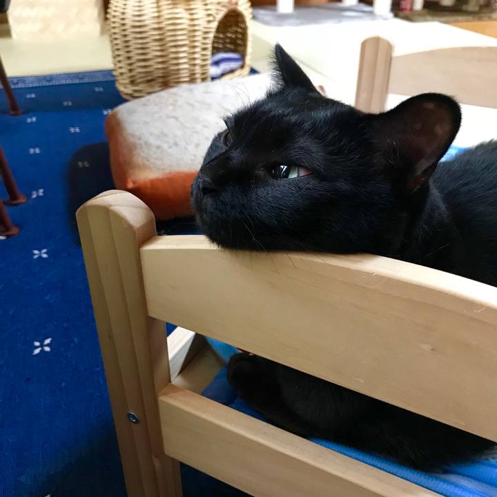 6ccdeba8 f3da 4046 8556 0c30eaeb0f27 1528942028938