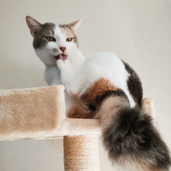 6cce21b3 e41b 4296 8c84 678f22e595ac 1635739361634