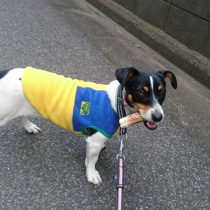 6cce8abb f041 4f5b 8639 51de6a714874 1549963362021