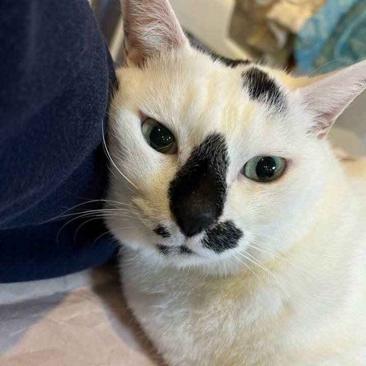 6ccf24a9 e057 47fc b026 b539e0ae3b77 1647923400211