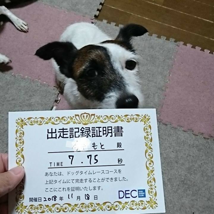 6ccf68bc a0c8 4679 b3e6 eab2b872cbdd 1542541920632