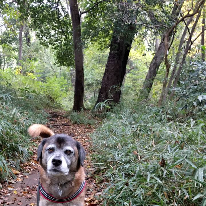 6ccf8fb0 02f2 4e37 998c 41fa16b29df5 1510625845339