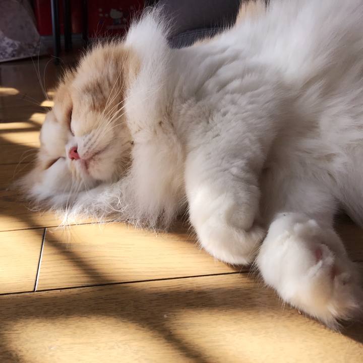 6ccf9817 7b96 4c6b 88ad d13097caada8 1517664310096