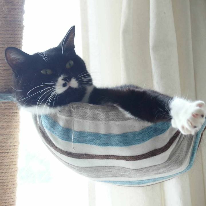 6ccfeab0 b05c 463a 8760 639da9dd441a 1529586390277