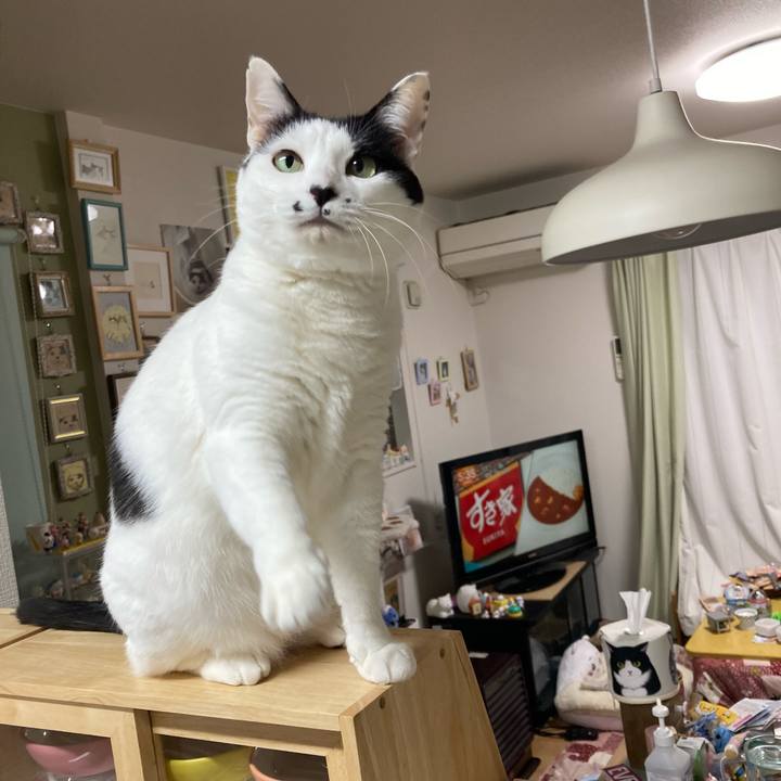 6cd04588 e942 4f04 b262 1ec5fd15975b 1773953467428