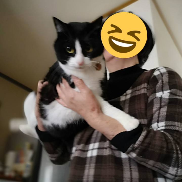 6cd05aa4 3742 472b a96b 10105c661161 1577765879922