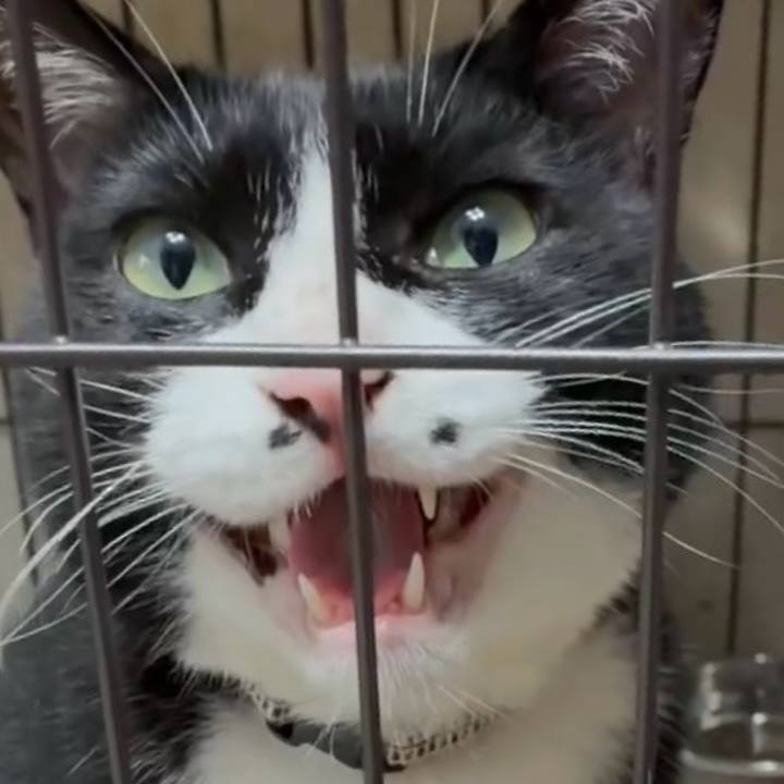 6cd07247 3791 4bce bd2e 867cbac0271c 1752658450707