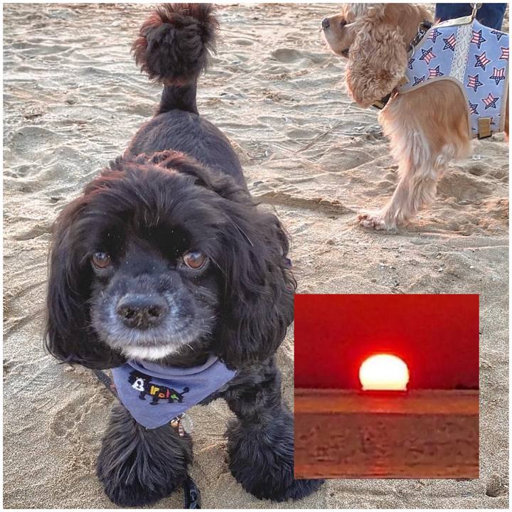 6cd07792 ec32 41d0 b7af c31bb8c3ad68 1665905152323