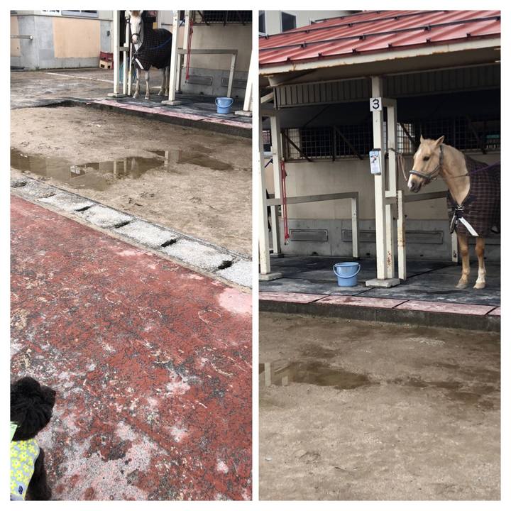 6cd08e4a 01ff 43d1 8f9a 491c291143c5 1583047972968