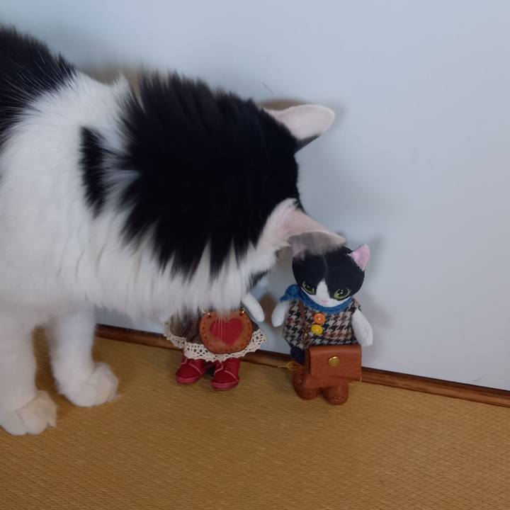 6cd0b821 52c9 4540 b008 749fc4753c64 1664496262011