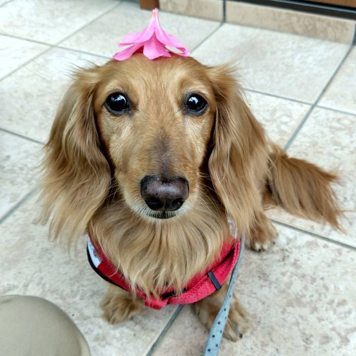 6cd0bfac 0cc5 4efa bdaa 56ae222d44c9 1653567393762