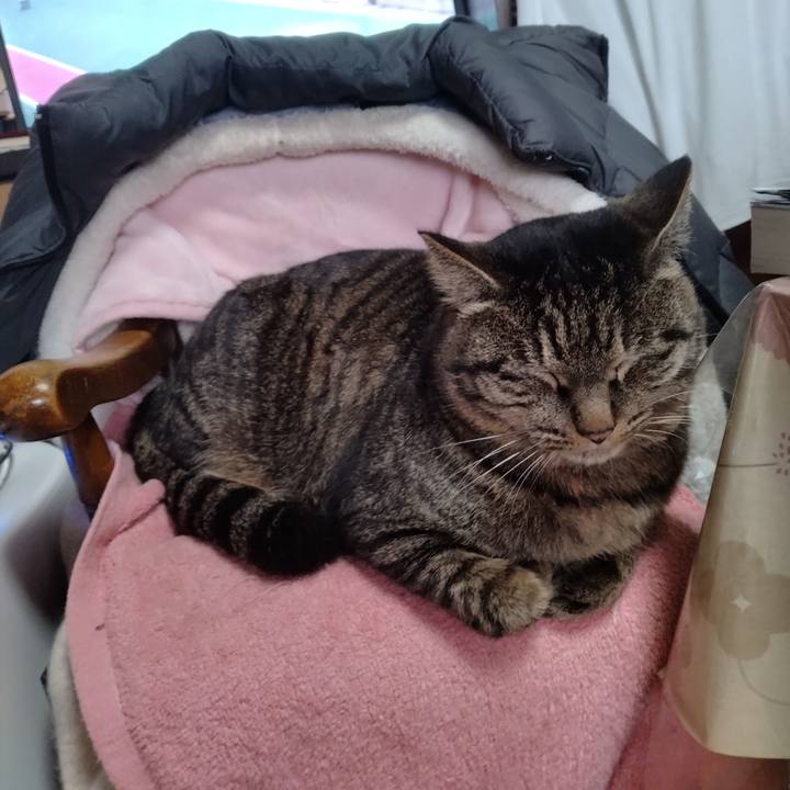 6cd0e5fe 9e79 4611 b489 3b1869382278 1673762818153