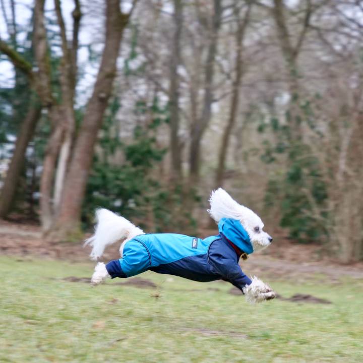 6cd0f51f 205f 46f4 9879 a6261c574bd0 1769121510705