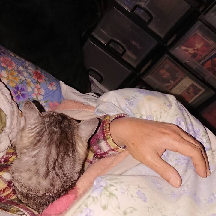 6cd13ea7 e4ab 451c 9574 e50c3c4f555e 1590003914324