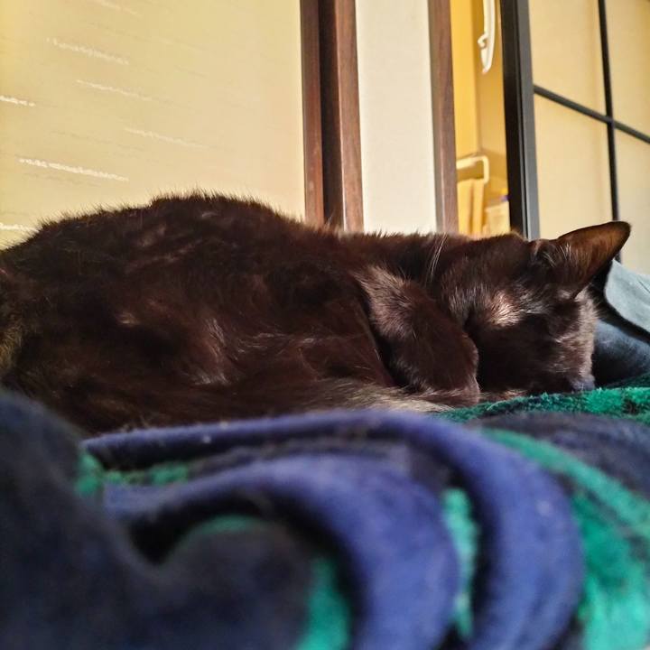 6cd16c75 e0f0 4247 8926 bbc9e9f78fbe 1675584033766