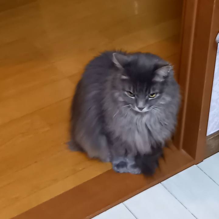 6cd1d00c 292a 44bd abdc 910b790913c7 1611235888703