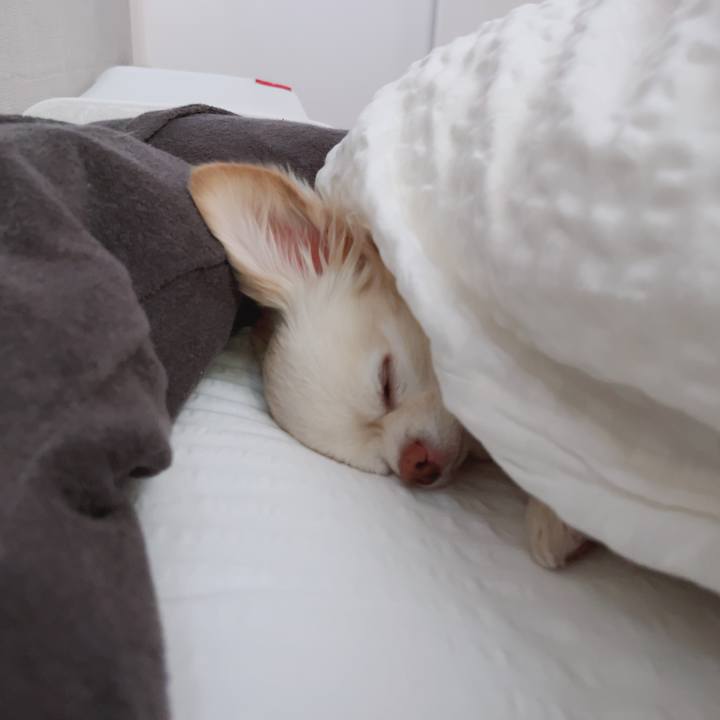 6cd1e8d7 9e53 41c3 bf2c 8b7d300d038e 1739863102045