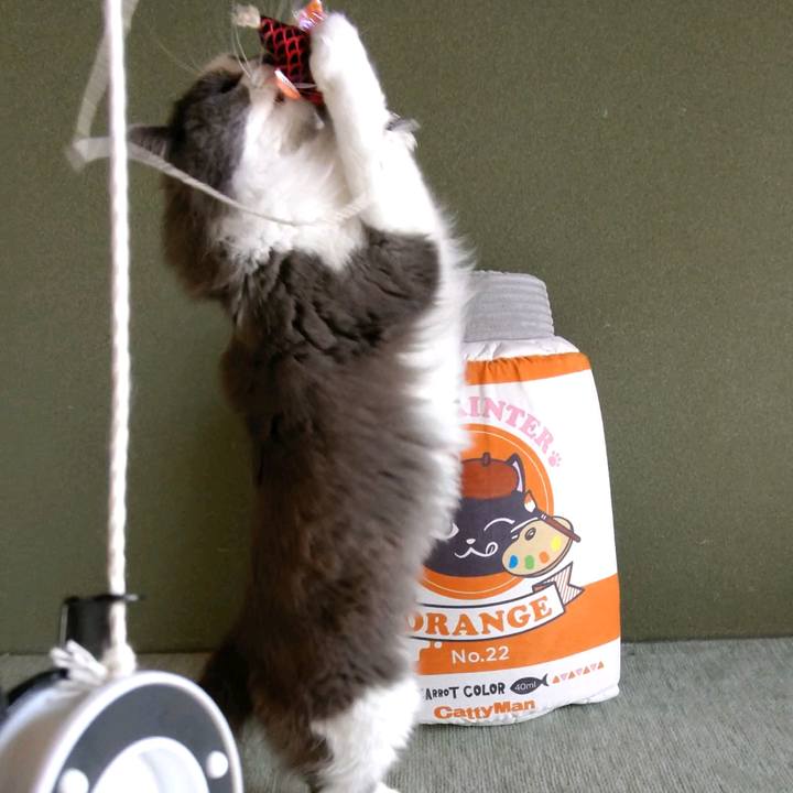 6cd22a64 feb9 4ff3 8b4b b44e7002467d 1615013701304