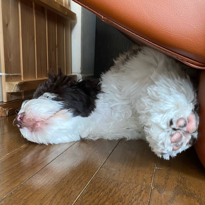 6cd2d1de 67a9 4f80 a3b6 2667145481a5 1614057187070