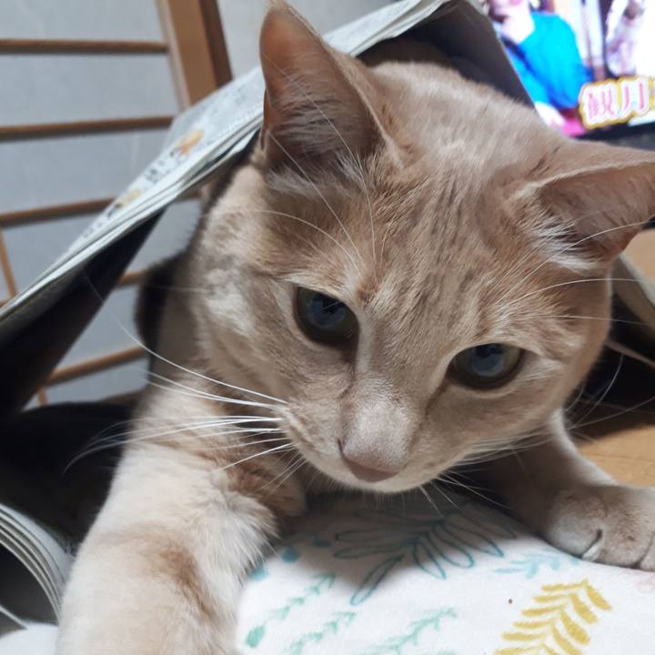 6cd2dad5 3ade 415c b73a b36ad49efcab 1584968885734