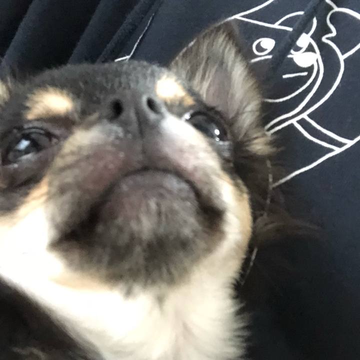 6cd2eec7 7593 4e62 9e53 20b1ac887f49 1541472092770