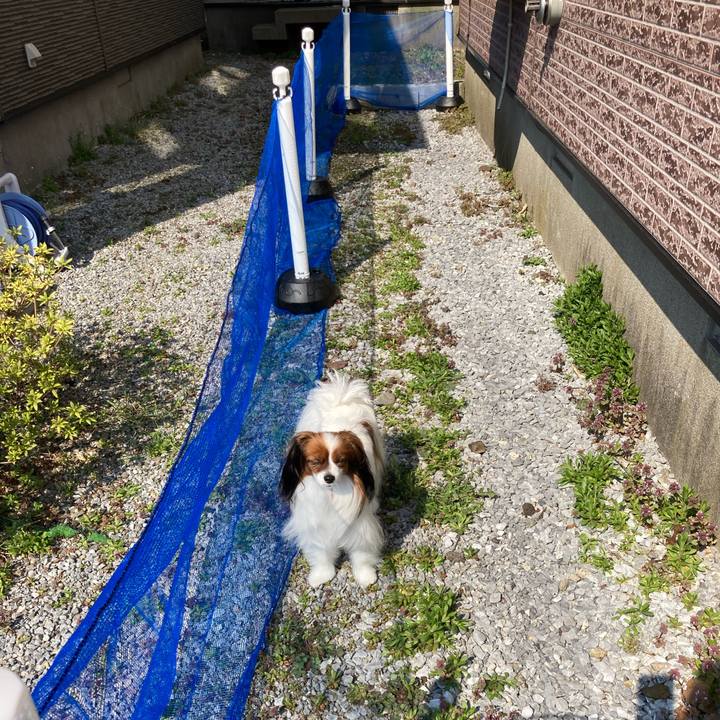 6cd31b4b cdf2 4ee4 a77d b3b7da479f2f 1650416337716