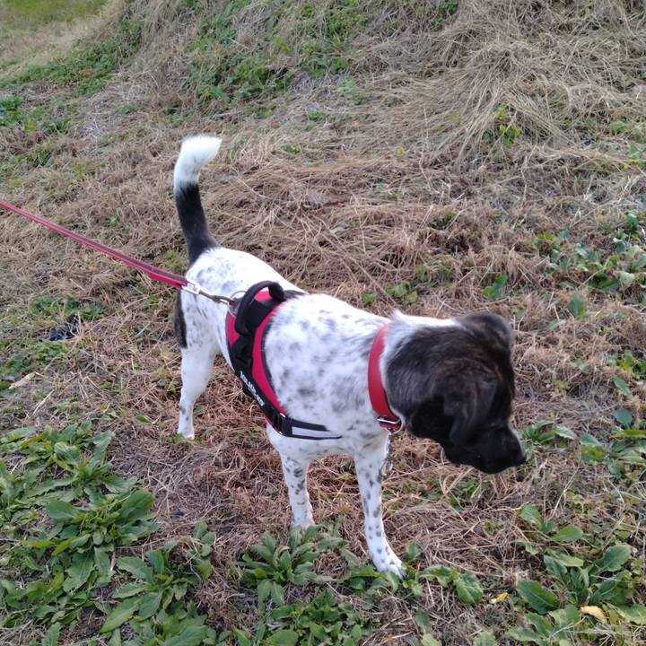 6cd33e0b b9b5 4fc9 b3cd d4405e7705c1 1667981268463