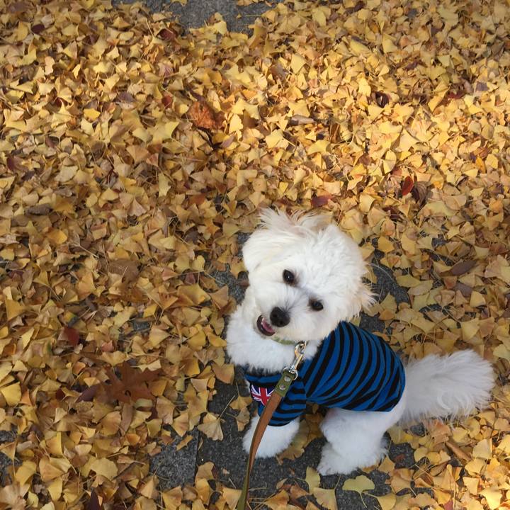 6cd38b1c 4056 4802 8711 b21f2d91db46 1510201322691